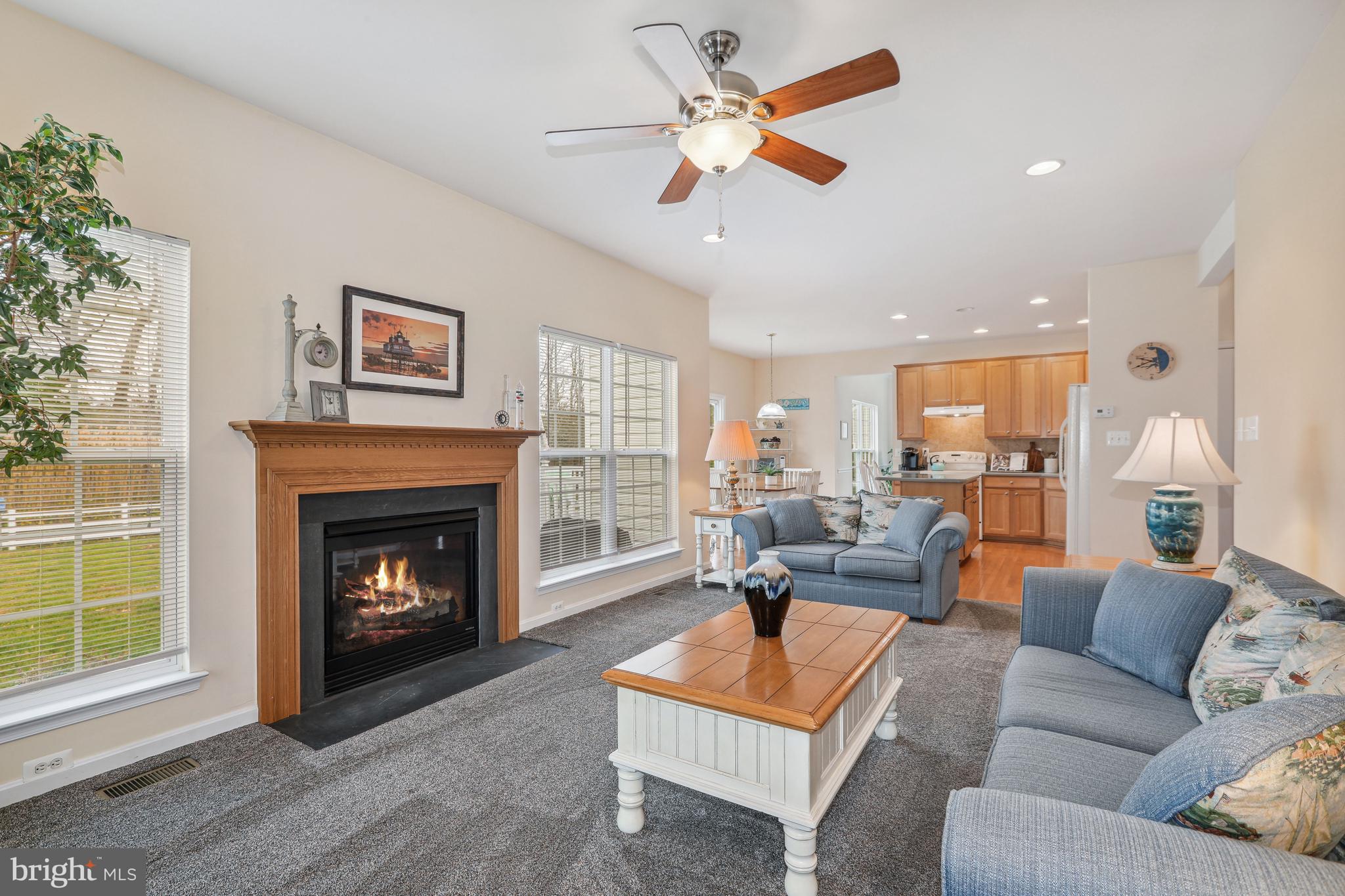 24834 Rivers Edge Road Millsboro, DE 19966 - Photo 15 of 39 Fireplace