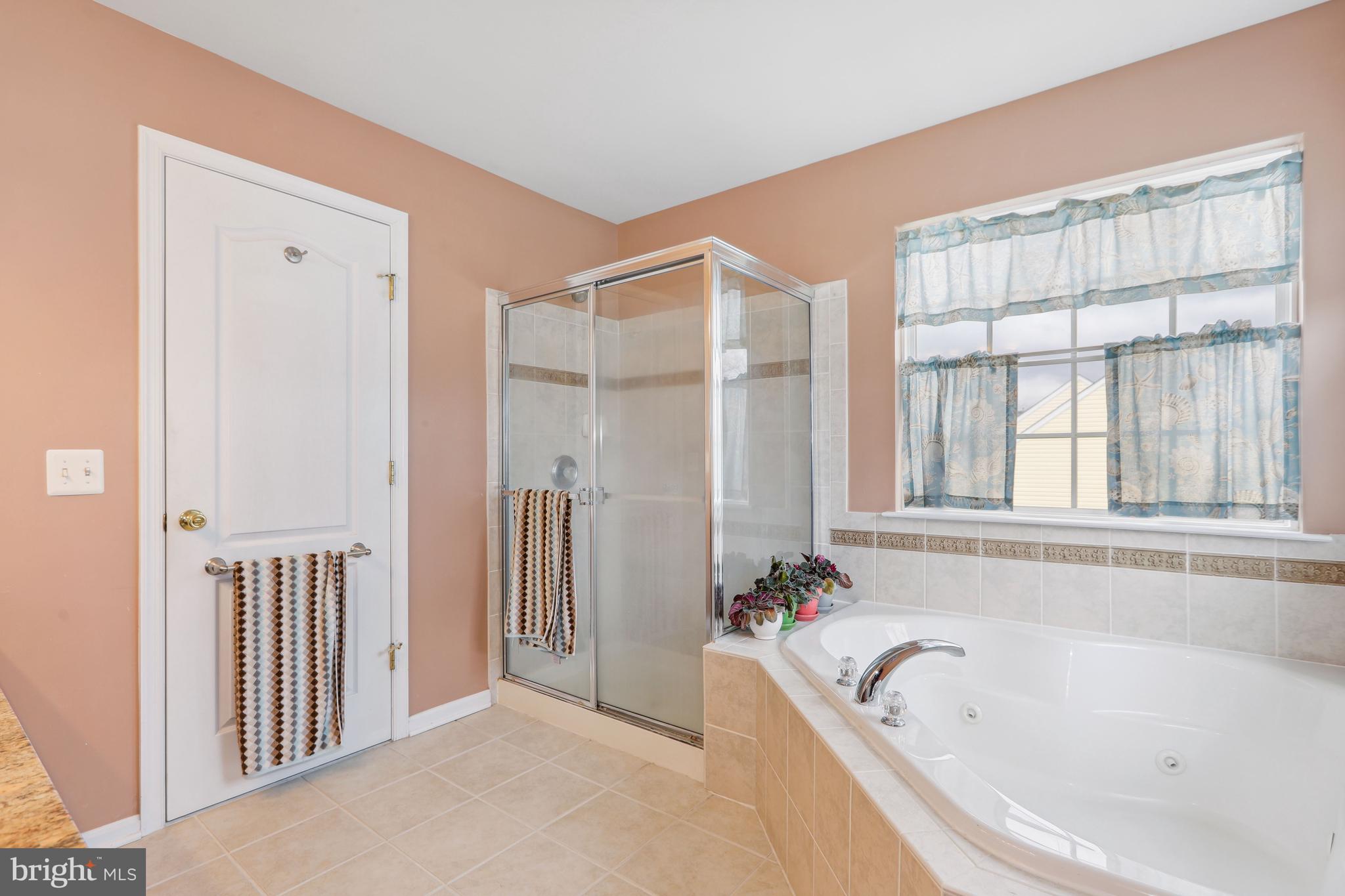 24834 Rivers Edge Road Millsboro, DE 19966 - Photo 23 of 39 Soaking Tub