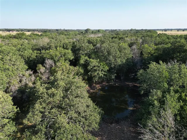 a view of a forest with a street