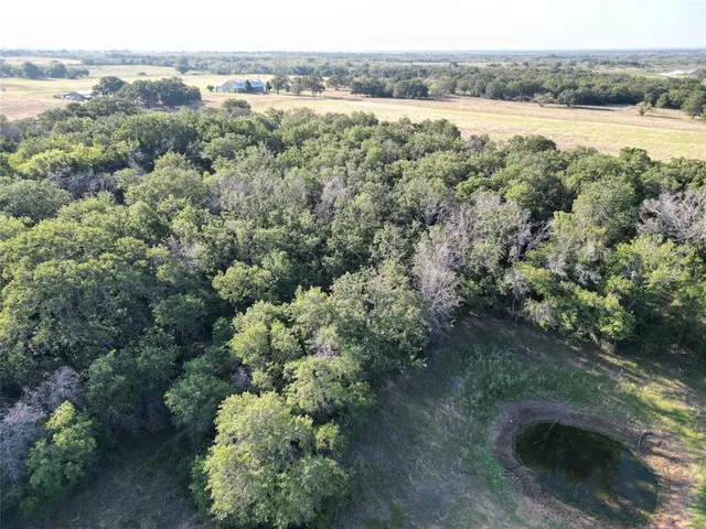 an aerial view of green landscape with trees houses and lake view