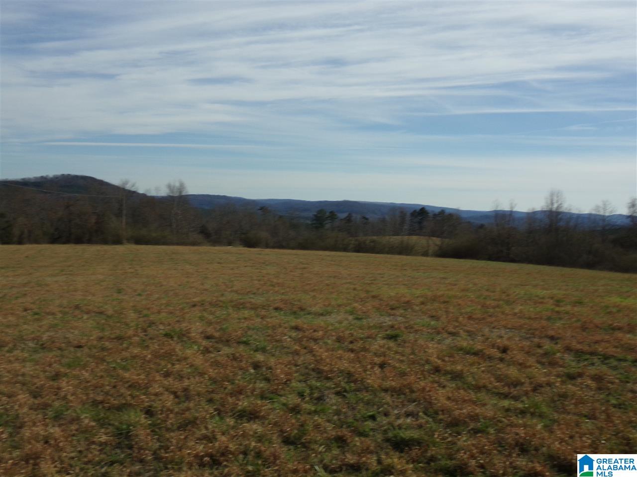 0 Posey Road, Unit TRACT 5 Blountsville, AL 35031 - Photo 2 of 2