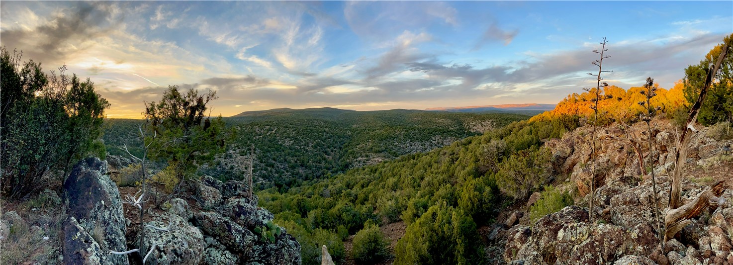 Beautiful Panoramic Views from the front patio!