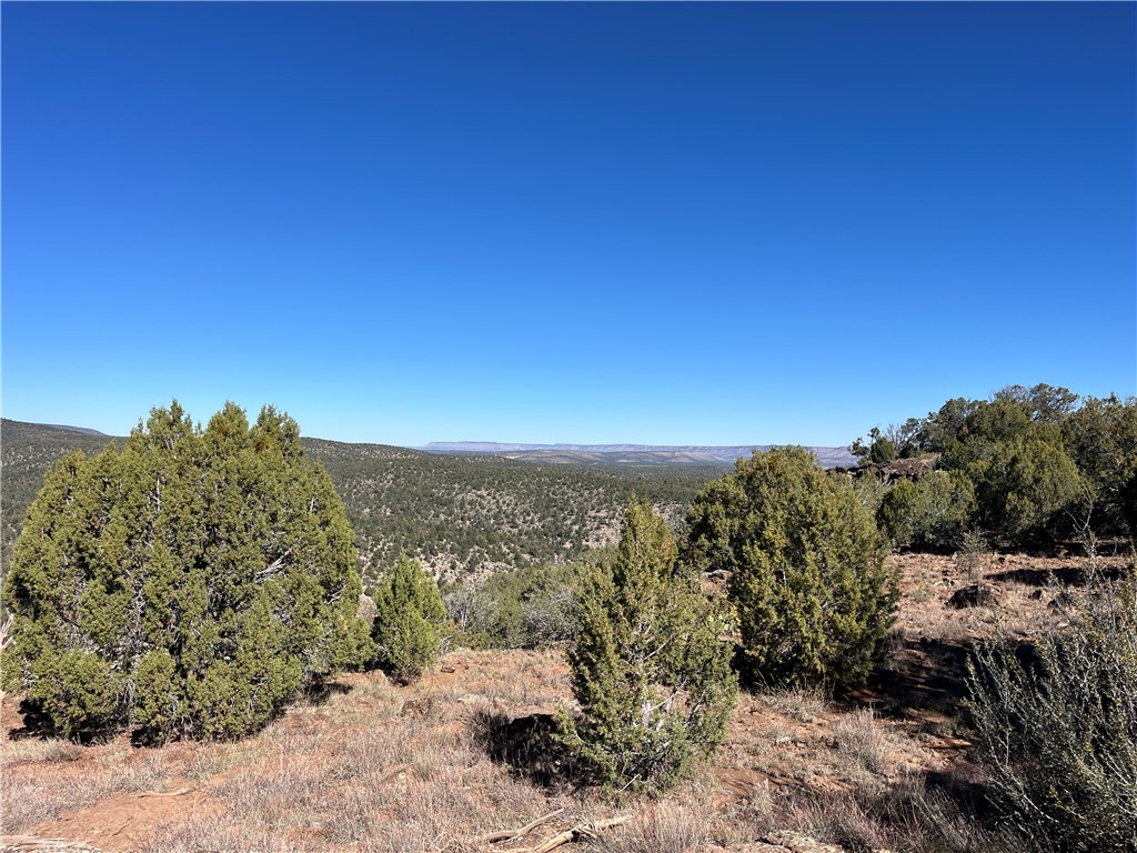 38 Acres Edge Ridge Road Seligman, AZ 86337 - Photo 19 of 45 Close to camp, just north