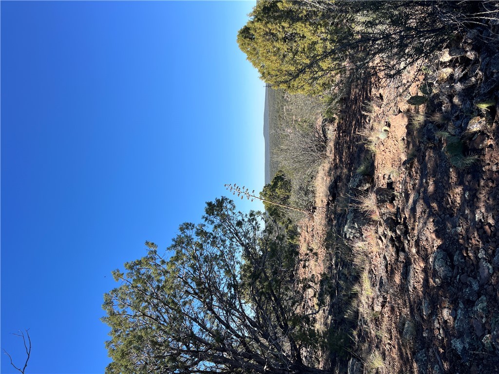 38 Acres Edge Ridge Road Seligman, AZ 86337 - Photo 22 of 45 NE Canyon Rim