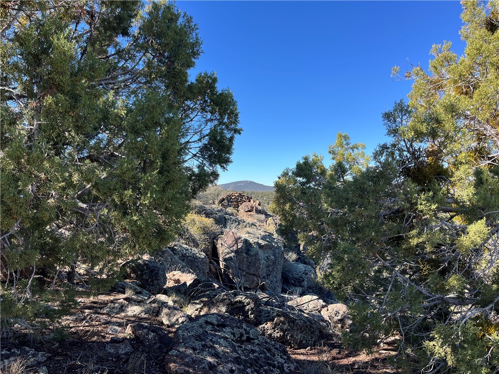 38 Acres Edge Ridge Road Seligman, AZ 86337 - Photo 25 of 45 View