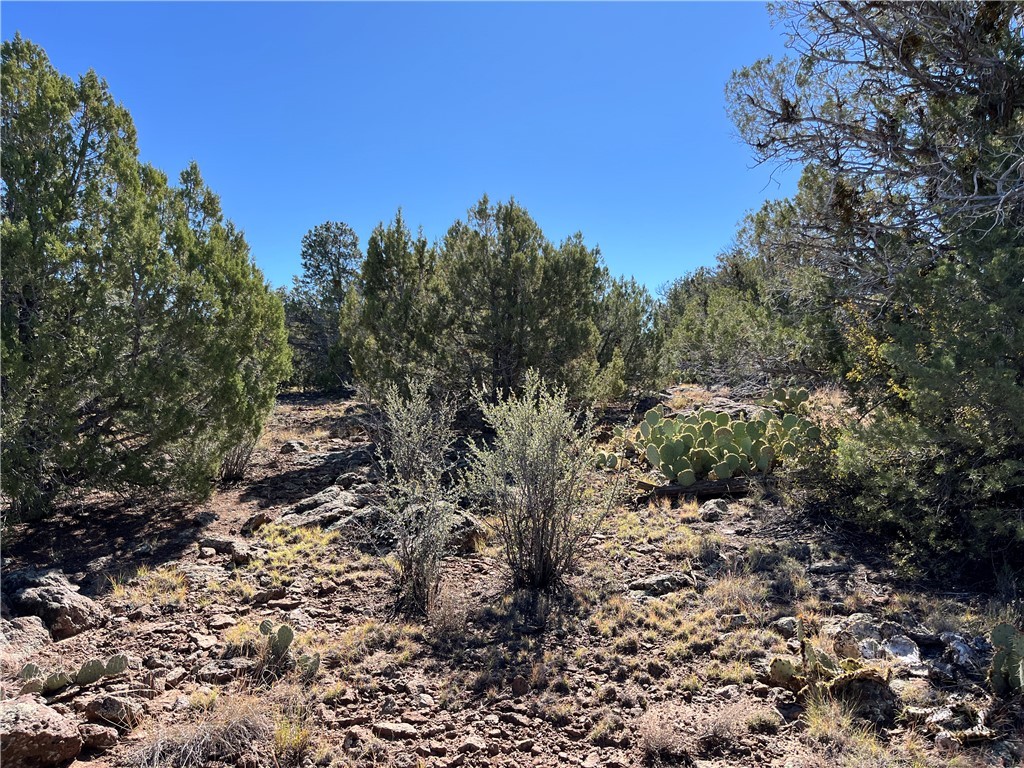 38 Acres Edge Ridge Road Seligman, AZ 86337 - Photo 26 of 45 View