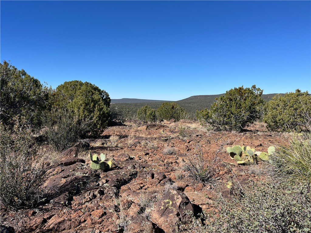 38 Acres Edge Ridge Road Seligman, AZ 86337 - Photo 27 of 45 View
