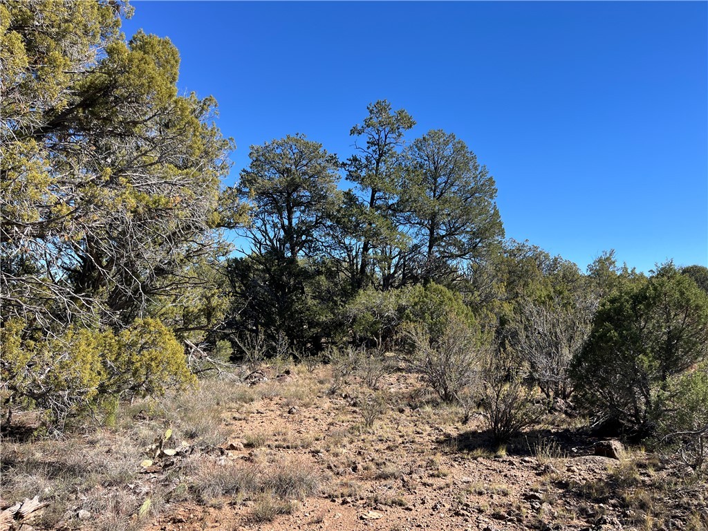 38 Acres Edge Ridge Road Seligman, AZ 86337 - Photo 29 of 45 View