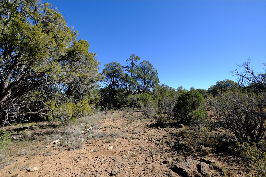 38 Acres Edge Ridge Road Seligman, AZ 86337 - Photo 30 of 45 View