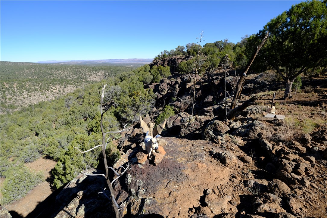 Amazing 270 degree views on the property