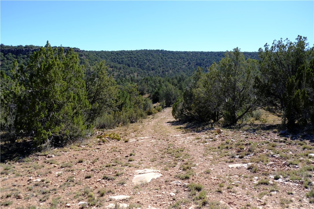 38 Acres Edge Ridge Road Seligman, AZ 86337 - Photo 31 of 45 Road to northern approach from Great Escape Way