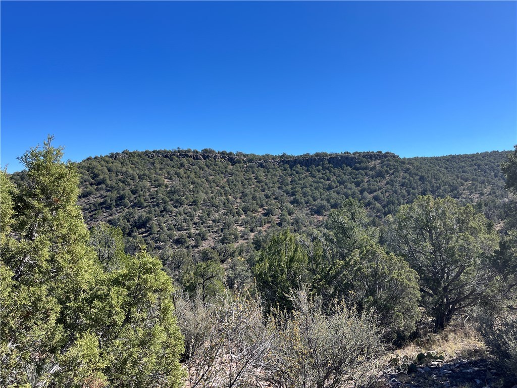 38 Acres Edge Ridge Road Seligman, AZ 86337 - Photo 32 of 45 Looking back at cliff face from northern end of property