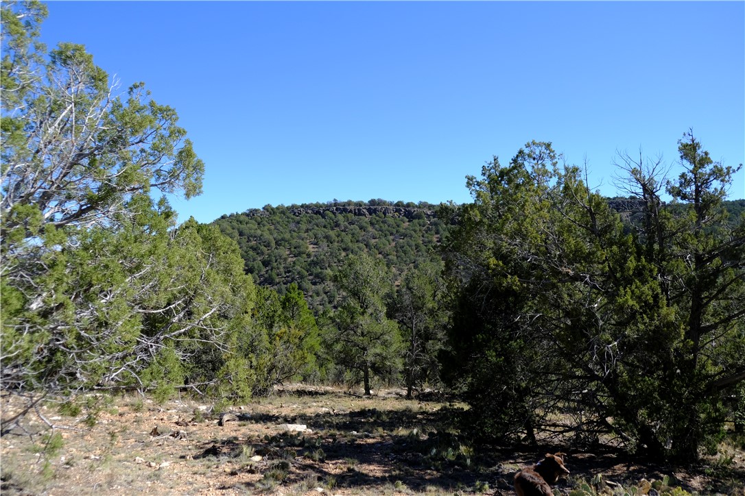 38 Acres Edge Ridge Road Seligman, AZ 86337 - Photo 33 of 45 Views from northern end of property