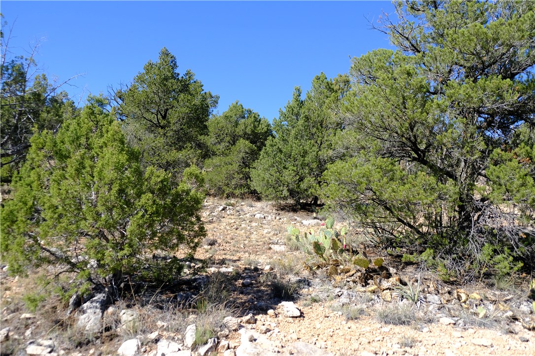 38 Acres Edge Ridge Road Seligman, AZ 86337 - Photo 34 of 45 View from northern end of property