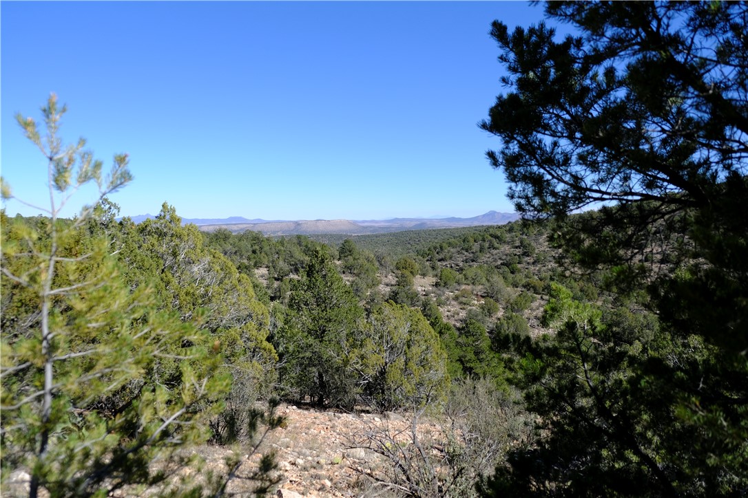 38 Acres Edge Ridge Road Seligman, AZ 86337 - Photo 35 of 45 View from northern end of property