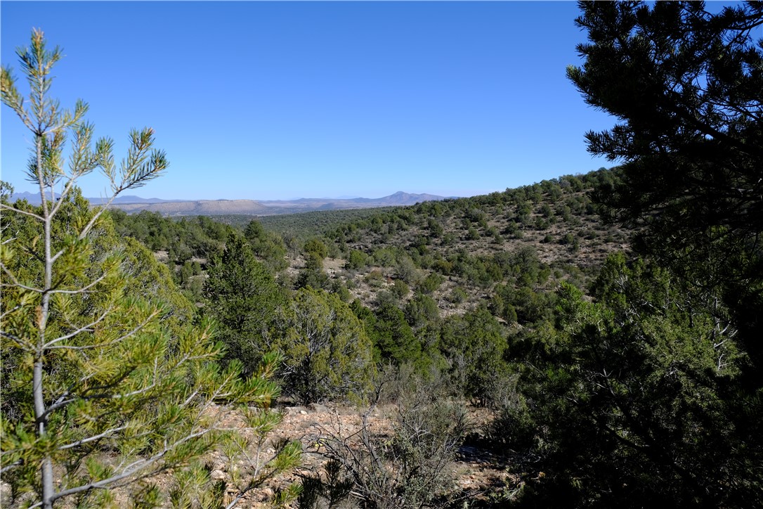 38 Acres Edge Ridge Road Seligman, AZ 86337 - Photo 36 of 45 View from northern end of property