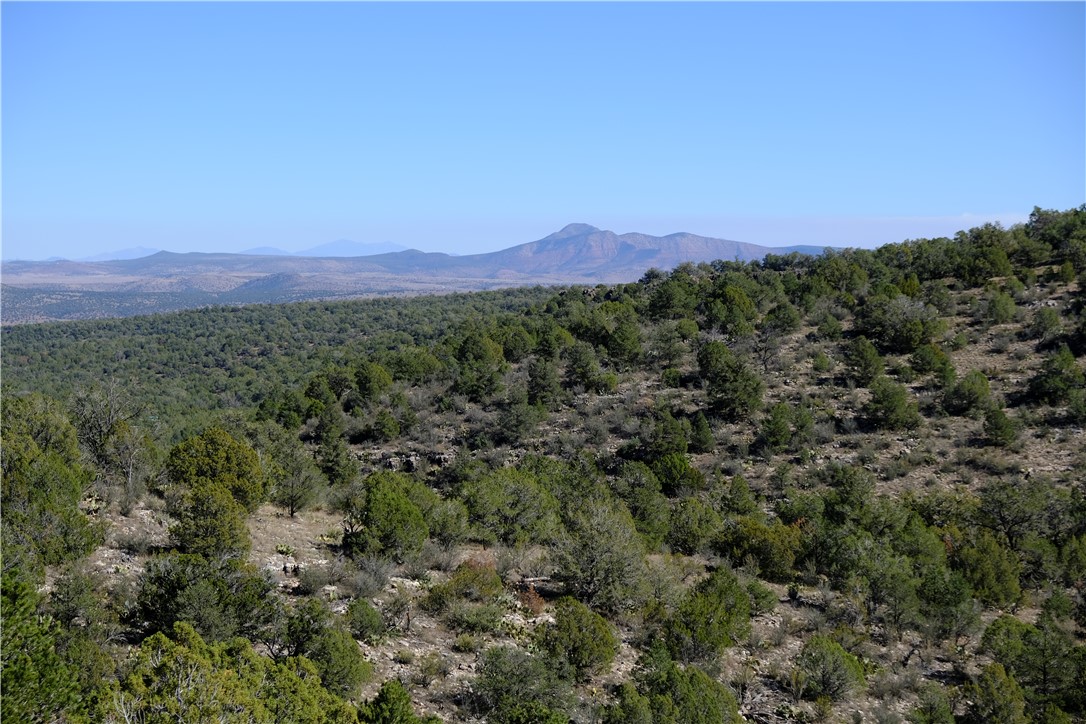 38 Acres Edge Ridge Road Seligman, AZ 86337 - Photo 37 of 45 View from northern end of property