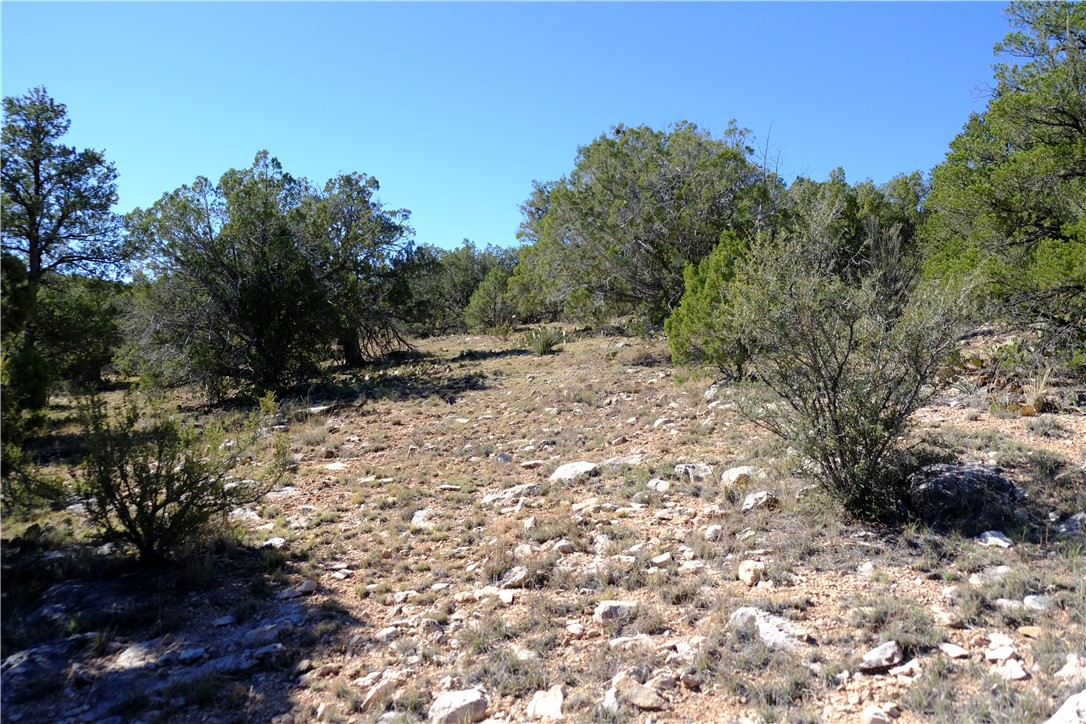38 Acres Edge Ridge Road Seligman, AZ 86337 - Photo 38 of 45 View from northern end of property