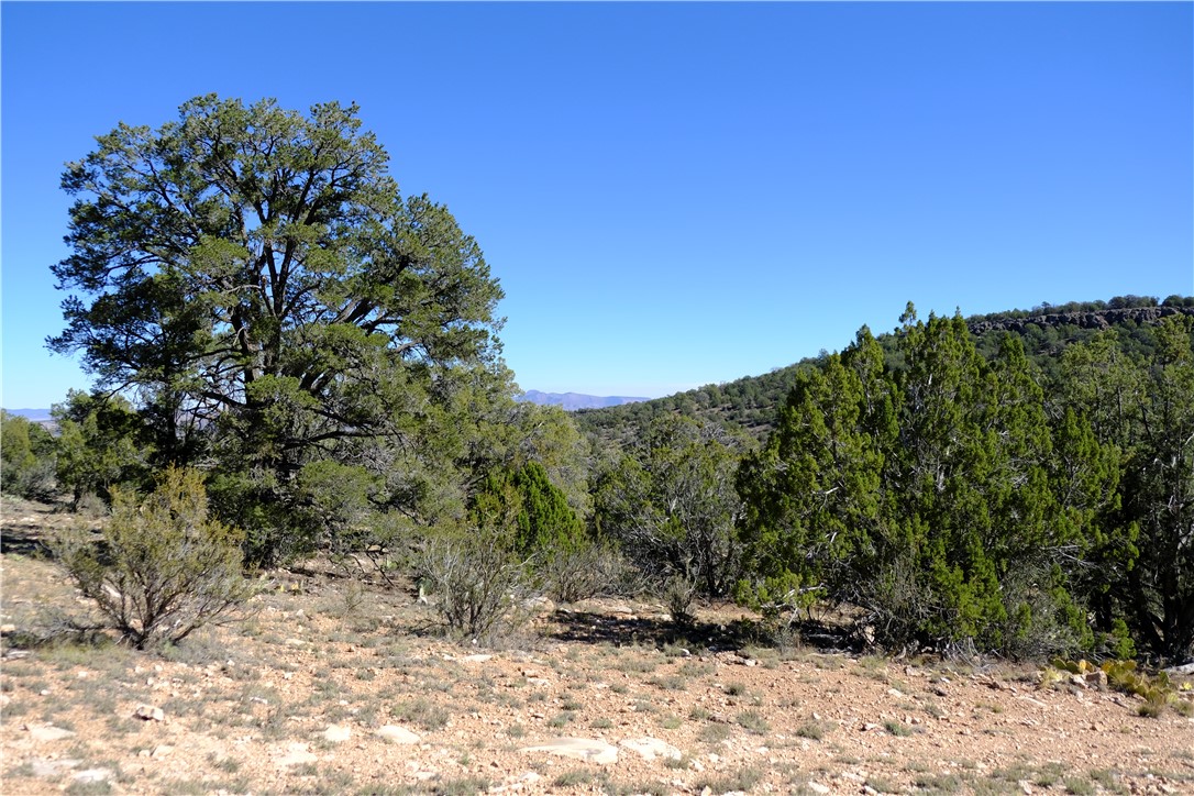 38 Acres Edge Ridge Road Seligman, AZ 86337 - Photo 39 of 45 View from northern end of property