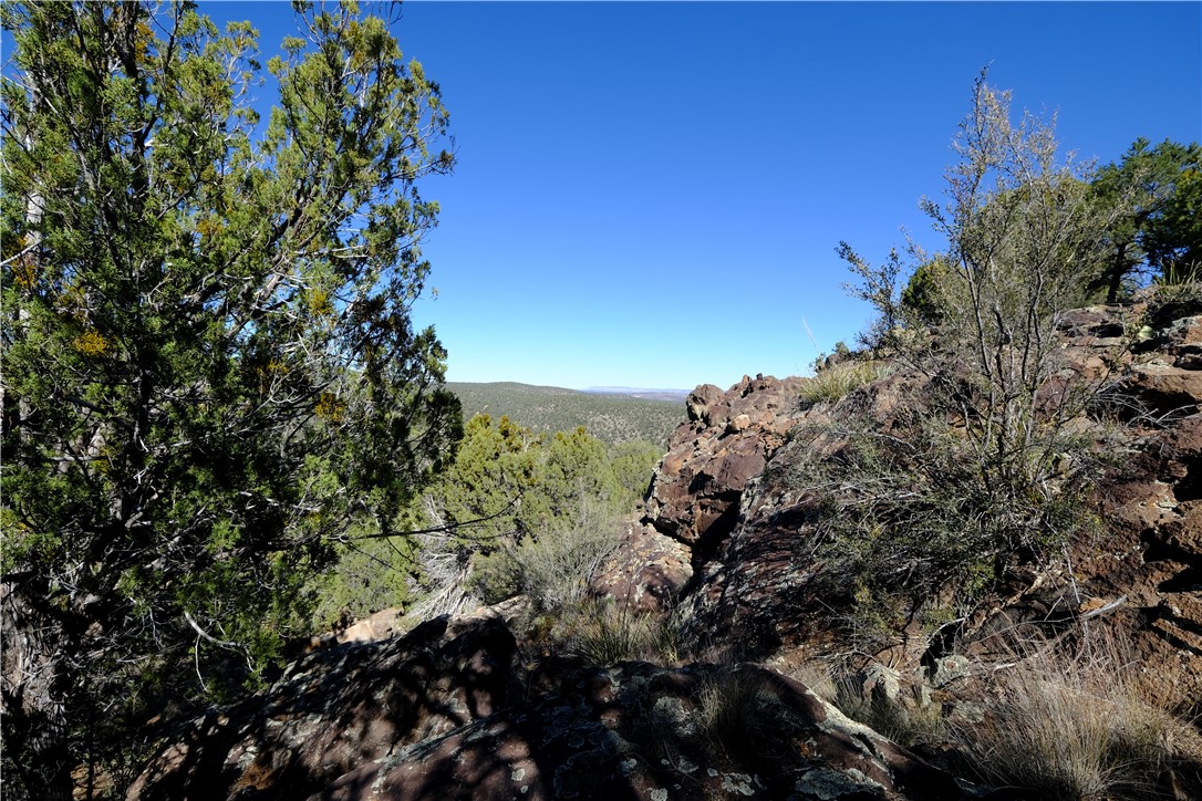 Mountain Views