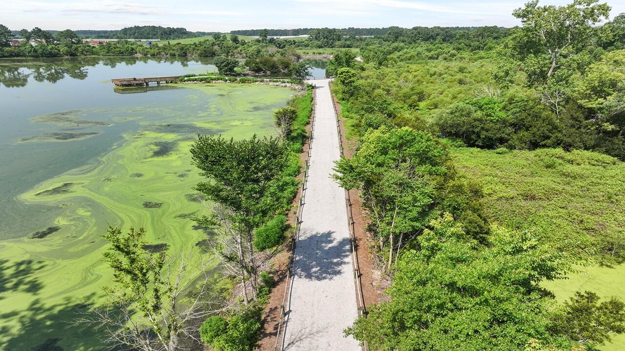 329 Bluebell Way Moncks Corner, SC 29461 - Photo 18 of 37 22_dji_20250625105736_0151_d