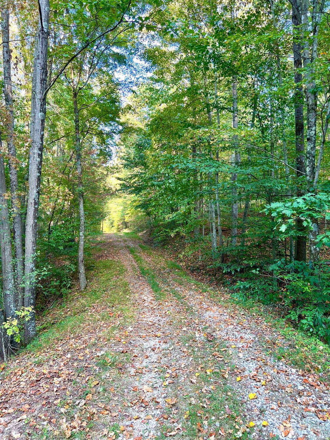 0 South Chenoweth Fork Road Piketon, OH 45661 - Photo 87 of 95
