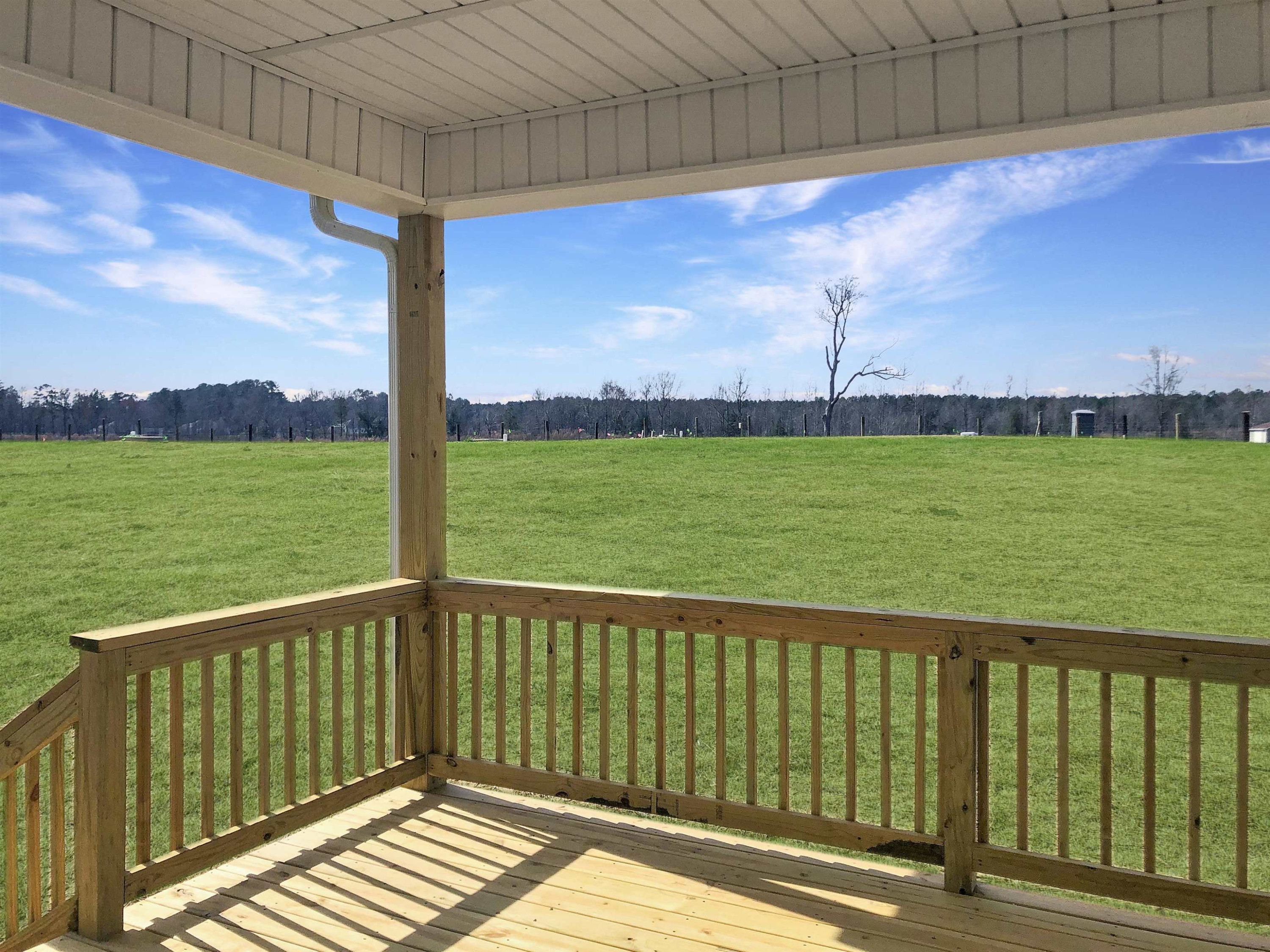2240 Green Pasture Road Rocky Mount, NC 27801 - Photo 3 of 44 View from back deck