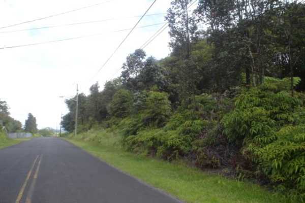 149 Leonaka Road Mountain View, HI 96771 - Photo 1 of 4 a view of a road with a trees