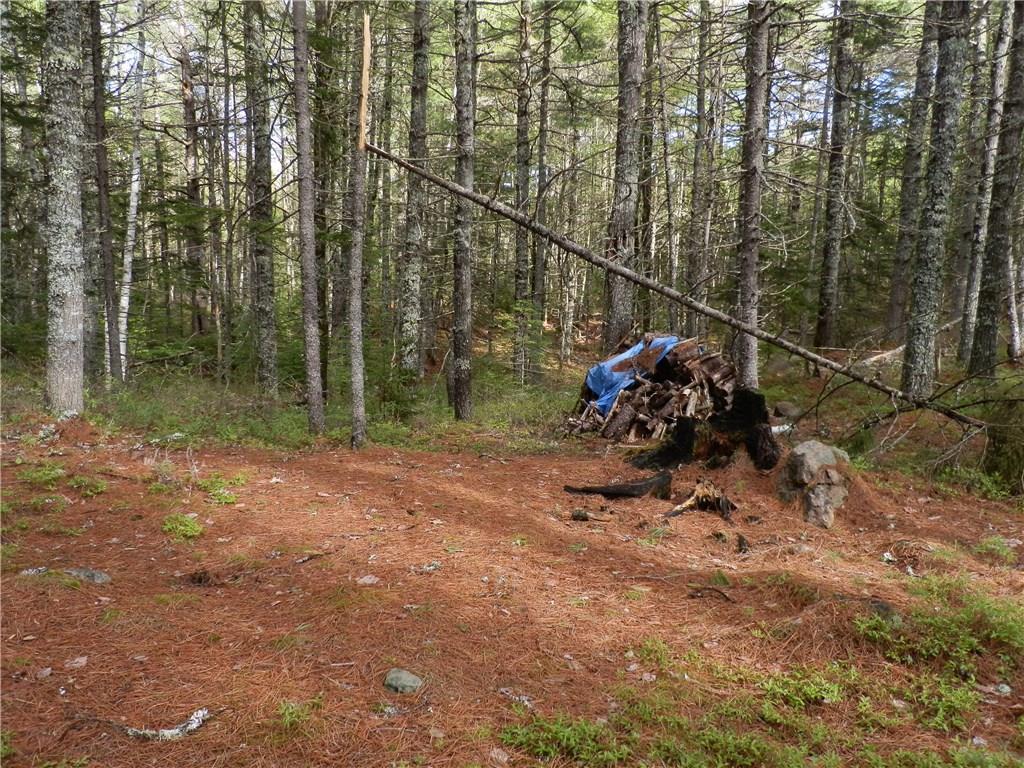 1426 Deer Haven Road Wesley, ME 04686 - Photo 14 of 24 Old campsite atop a lovely knoll