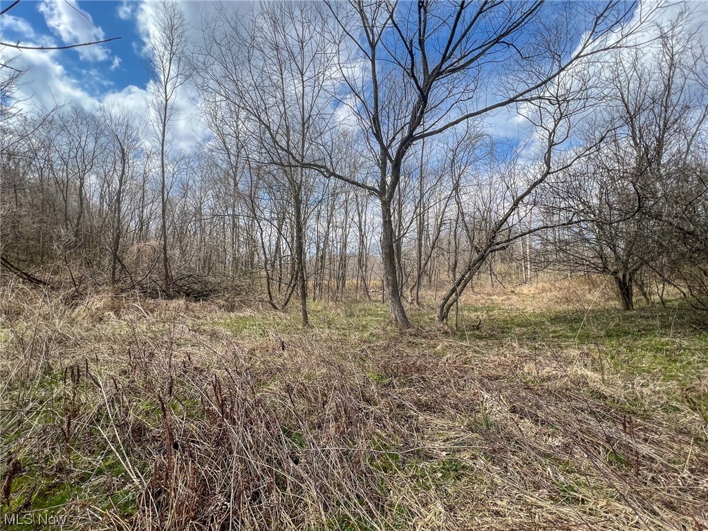 Morgan Road Zanesville, OH 43701 - Photo 17 of 35 Gallery Image 17