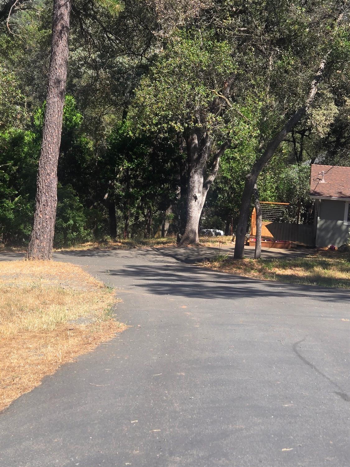 10601 Lime Kiln Road Grass Valley, CA 95949 - Photo 48 of 79 Paved driveway surrounded by mature trees