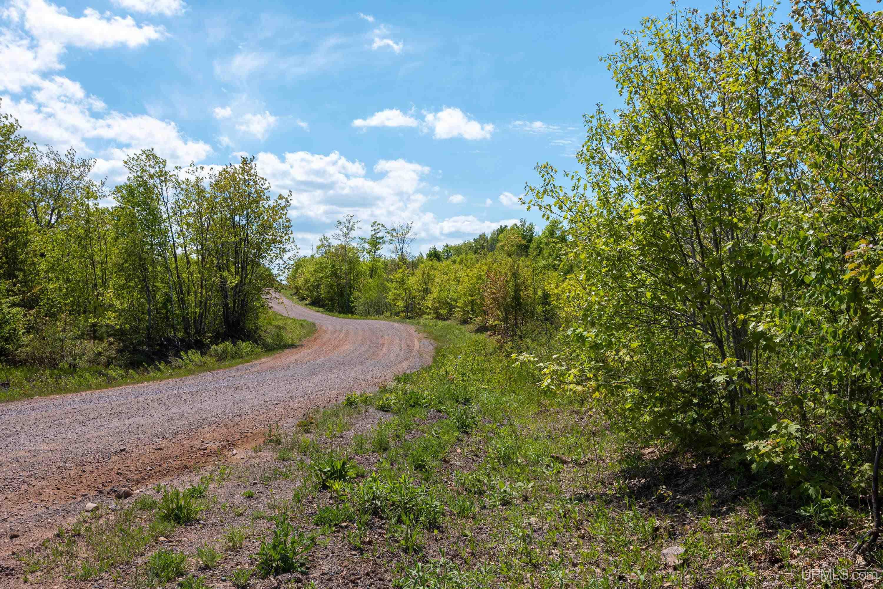 Lot 1 Airport Road, Unit CO RD 35B Calumet, MI 49913 - Photo 13 of 19