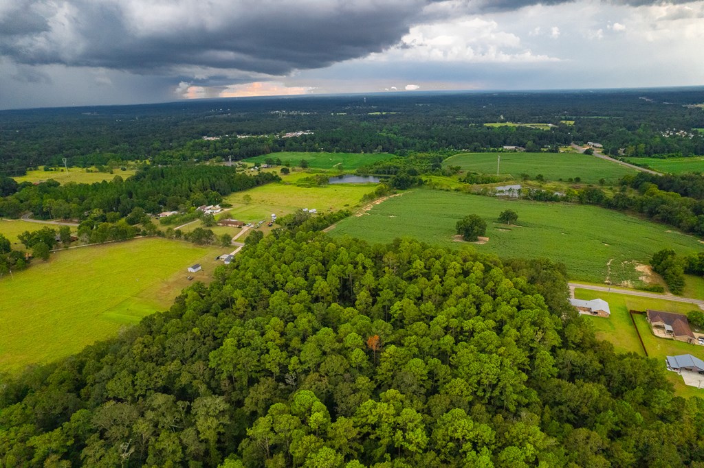 0 East Wayne Road Dothan, AL 36301 - Photo 12 of 18