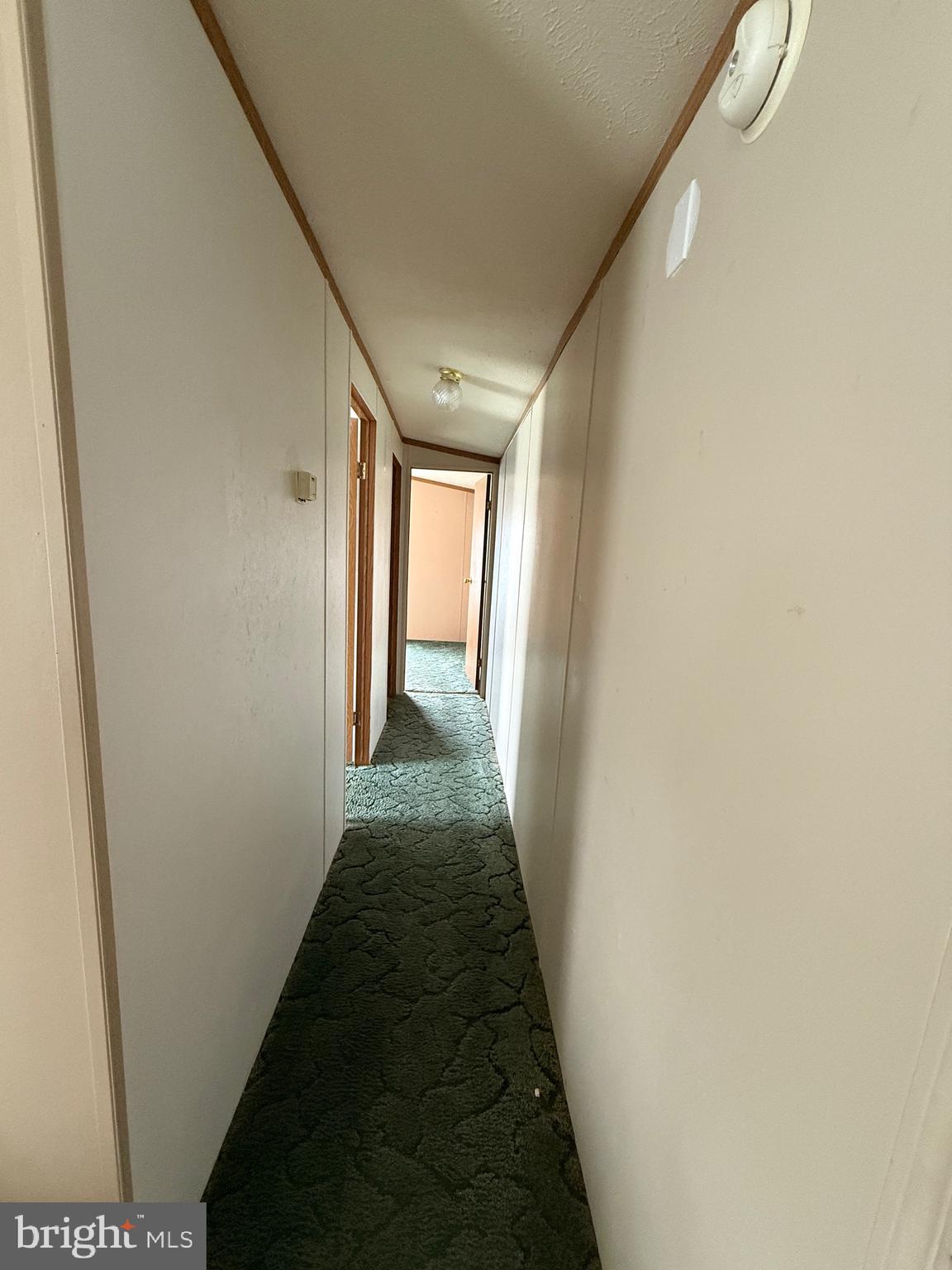 9241 Clare Circle Delmar, MD 21875 - Photo 24 of 30 a view of hallway