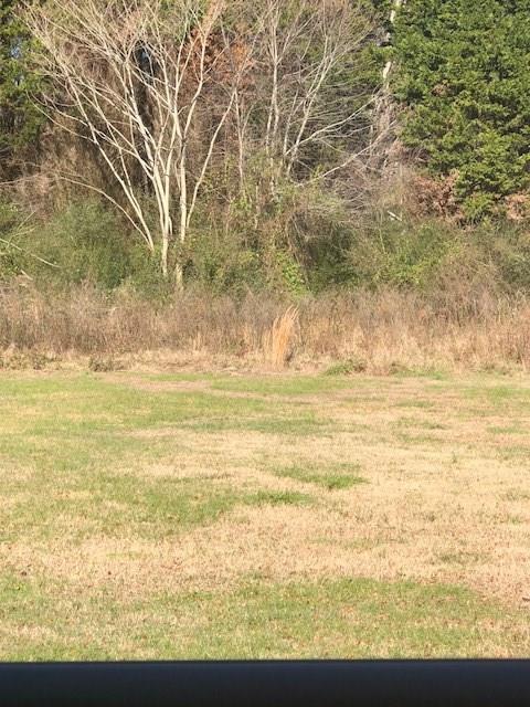 4035 Gravitt Road Cumming, GA 30040 - Photo 1 of 1 Gallery Image 1
