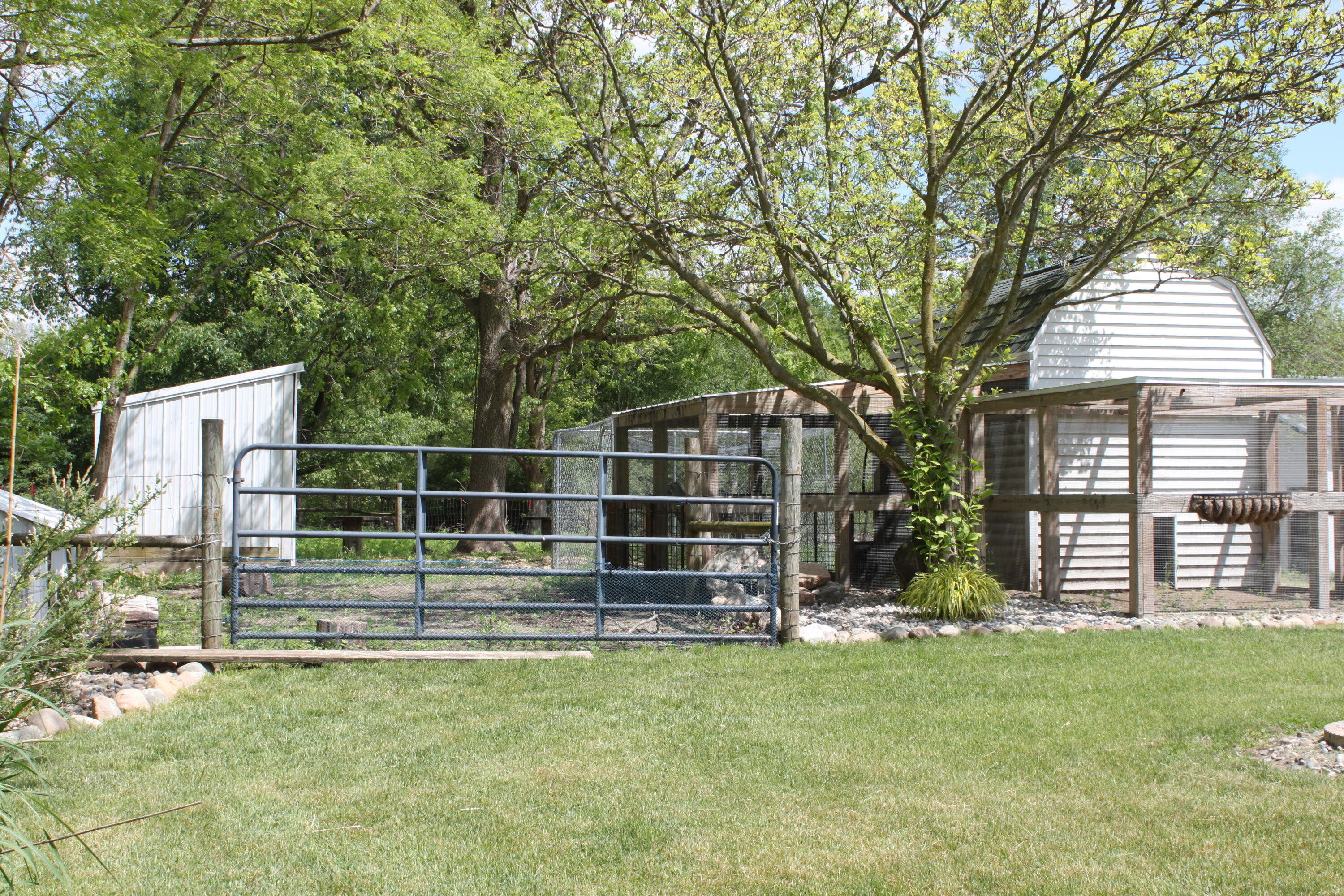411 Block Road Coldwater, MI 49036 - Photo 44 of 65 IMG_1859