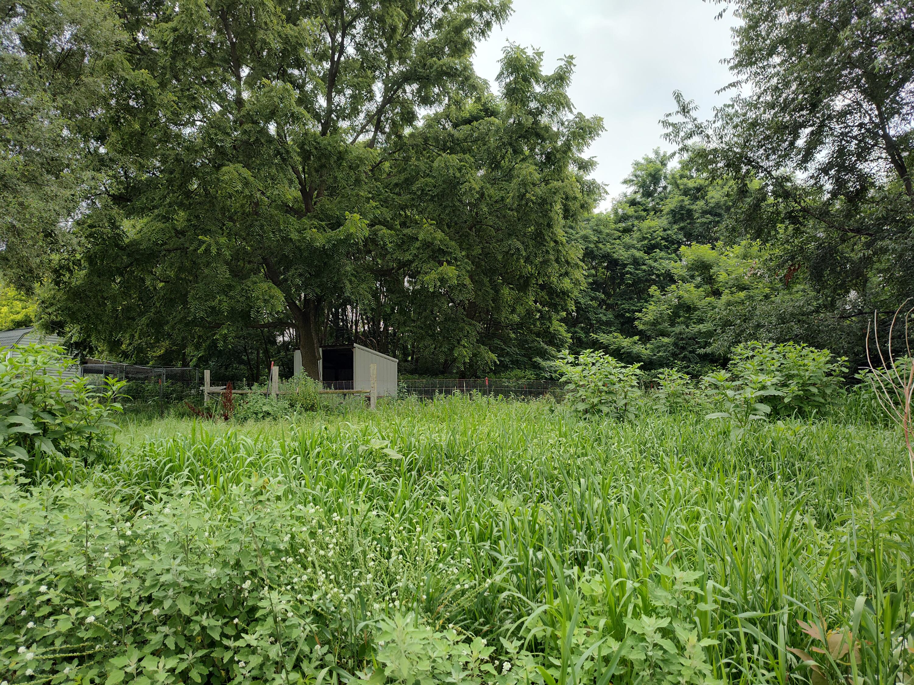 411 Block Road Coldwater, MI 49036 - Photo 46 of 65 1000014385