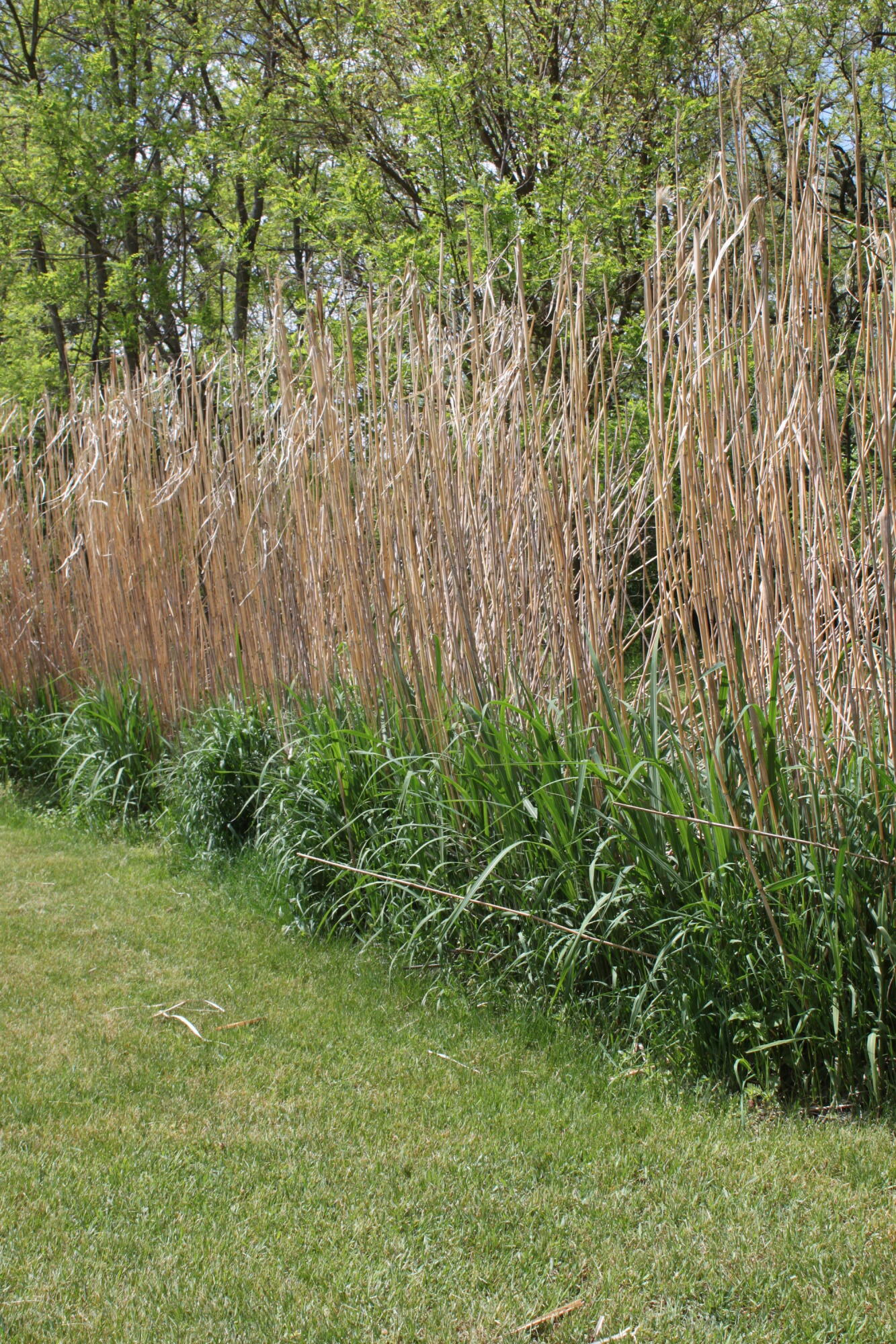 411 Block Road Coldwater, MI 49036 - Photo 49 of 65 IMG_1858