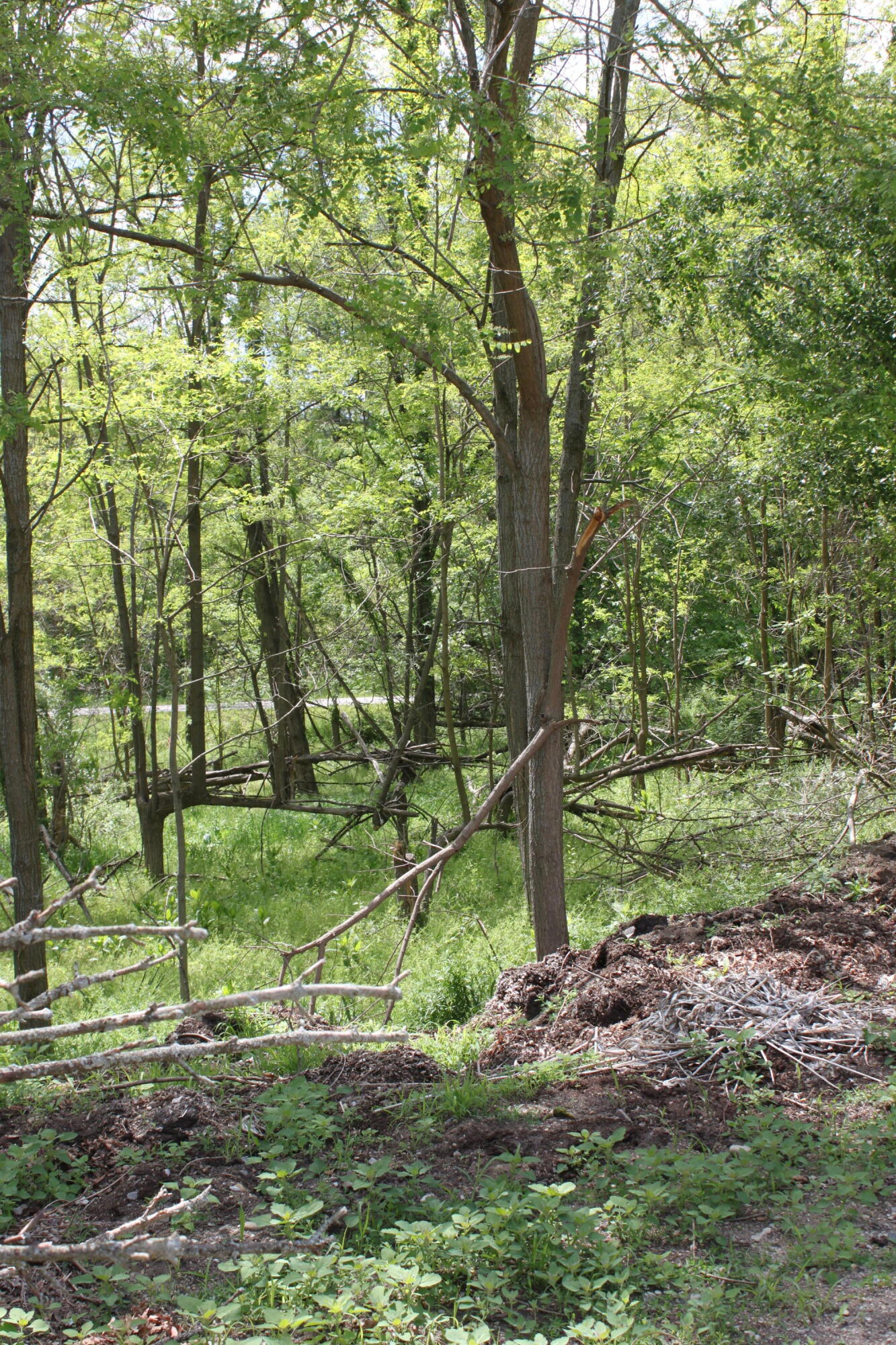 411 Block Road Coldwater, MI 49036 - Photo 50 of 65 IMG_1864