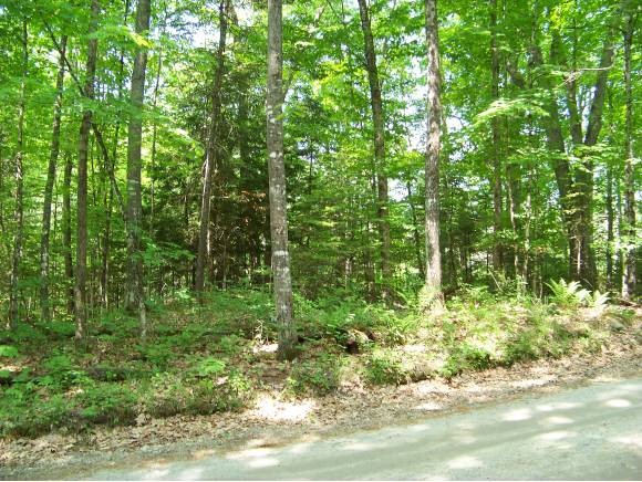 0 Mud Turtle Pond Road Orford, NH 03777 - Photo 1 of 1
