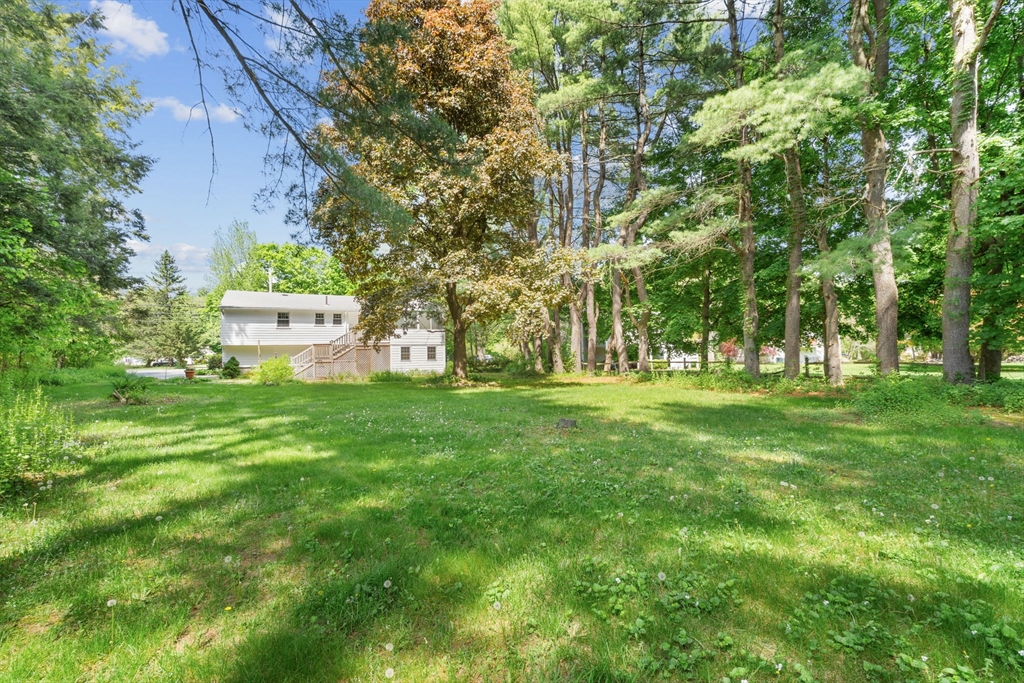 348 Belknap Road Framingham, MA 01701 - Photo 35 of 35 a view of a park with large trees