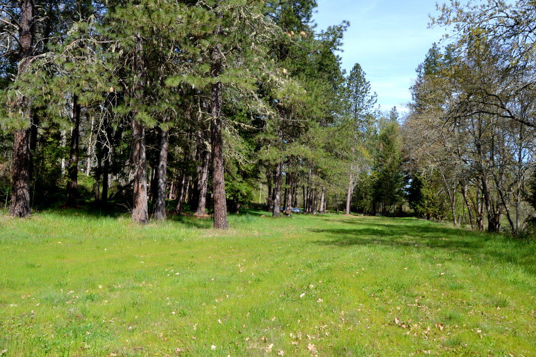 3900 Fish Hatchery Road Grants Pass, OR 97527 - Photo 26 of 29 DSC_3297