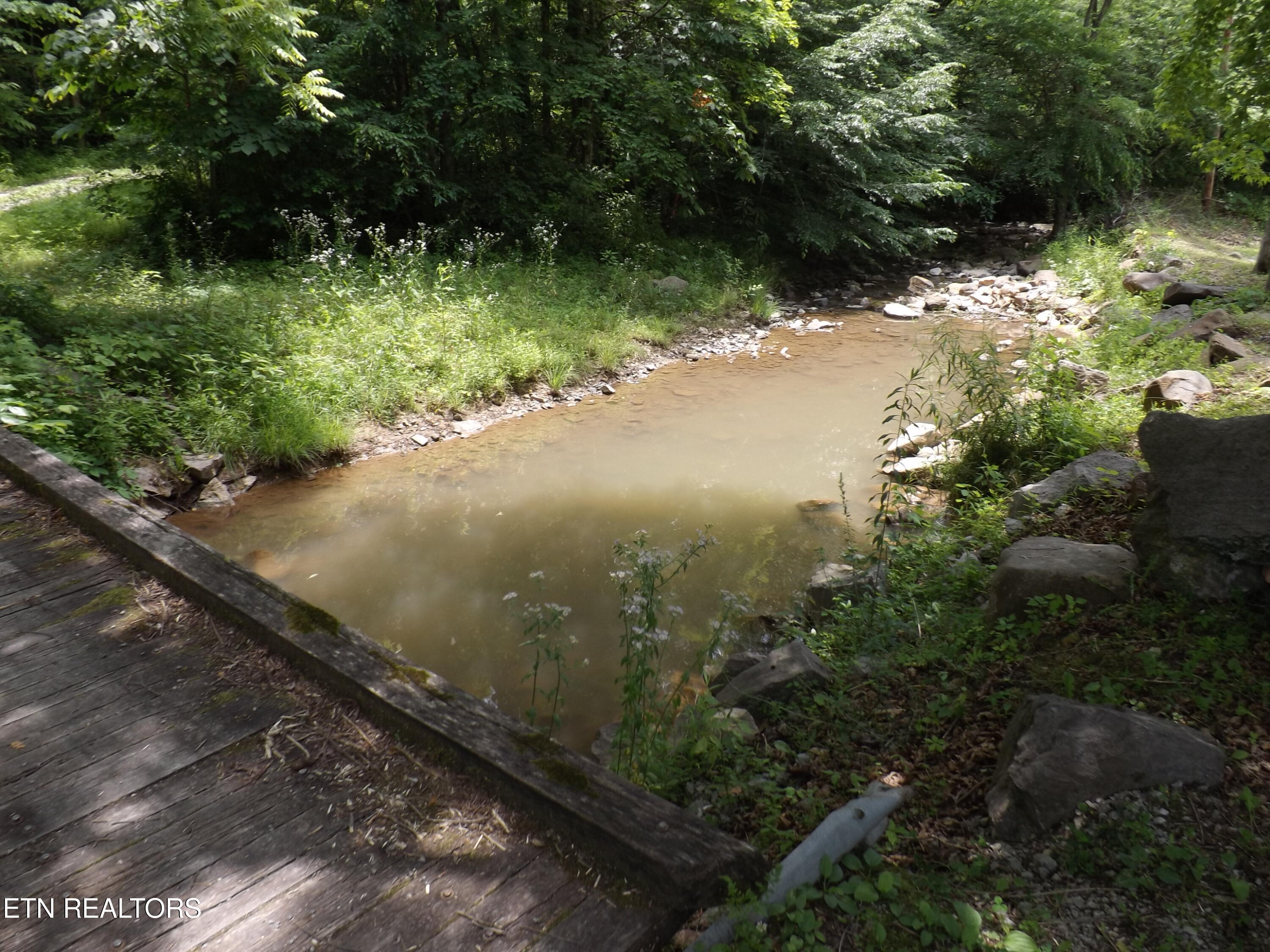 Tbd Snake Hollow Road Sneedville, TN 37869 - Photo 2 of 7 DSCF4318