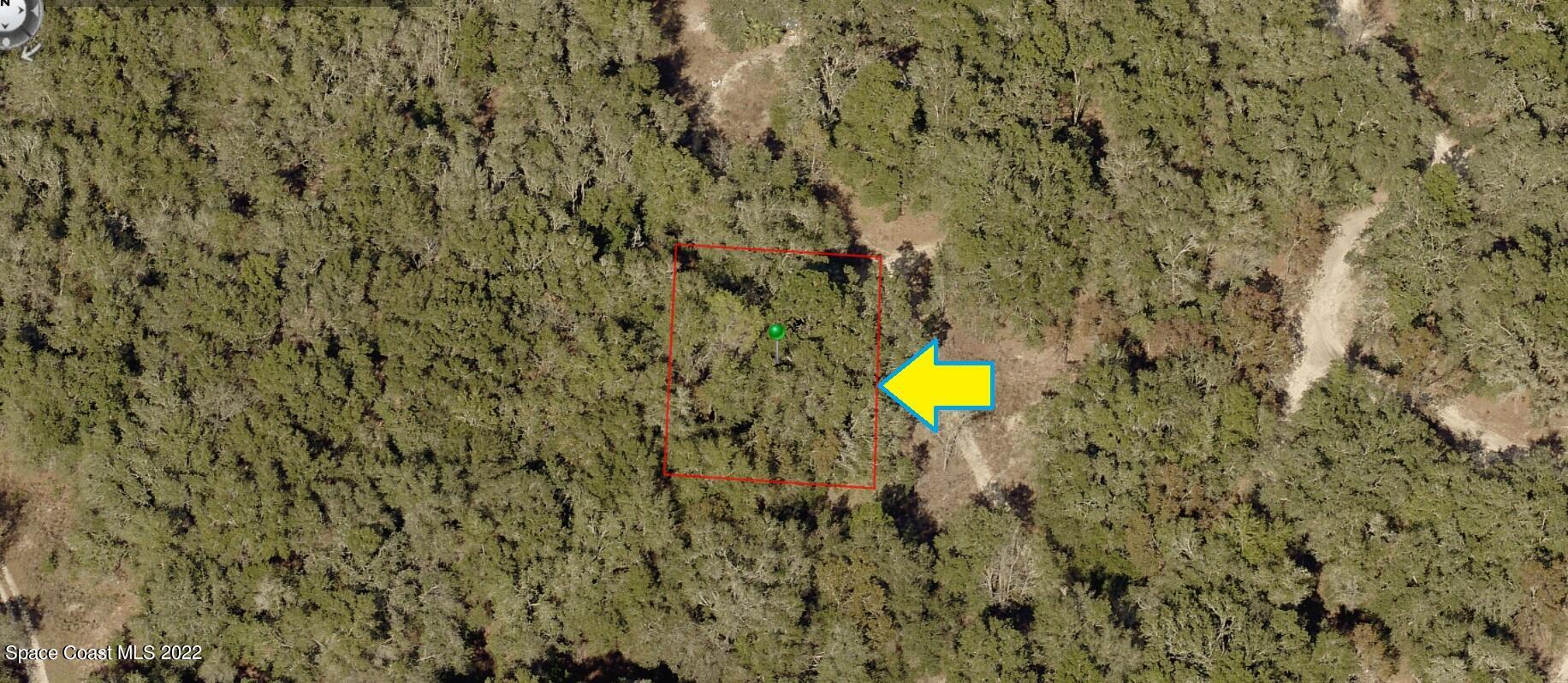 3009 Polk Street West Inverness, FL 34453 - Photo 1 of 5 a view of a backyard