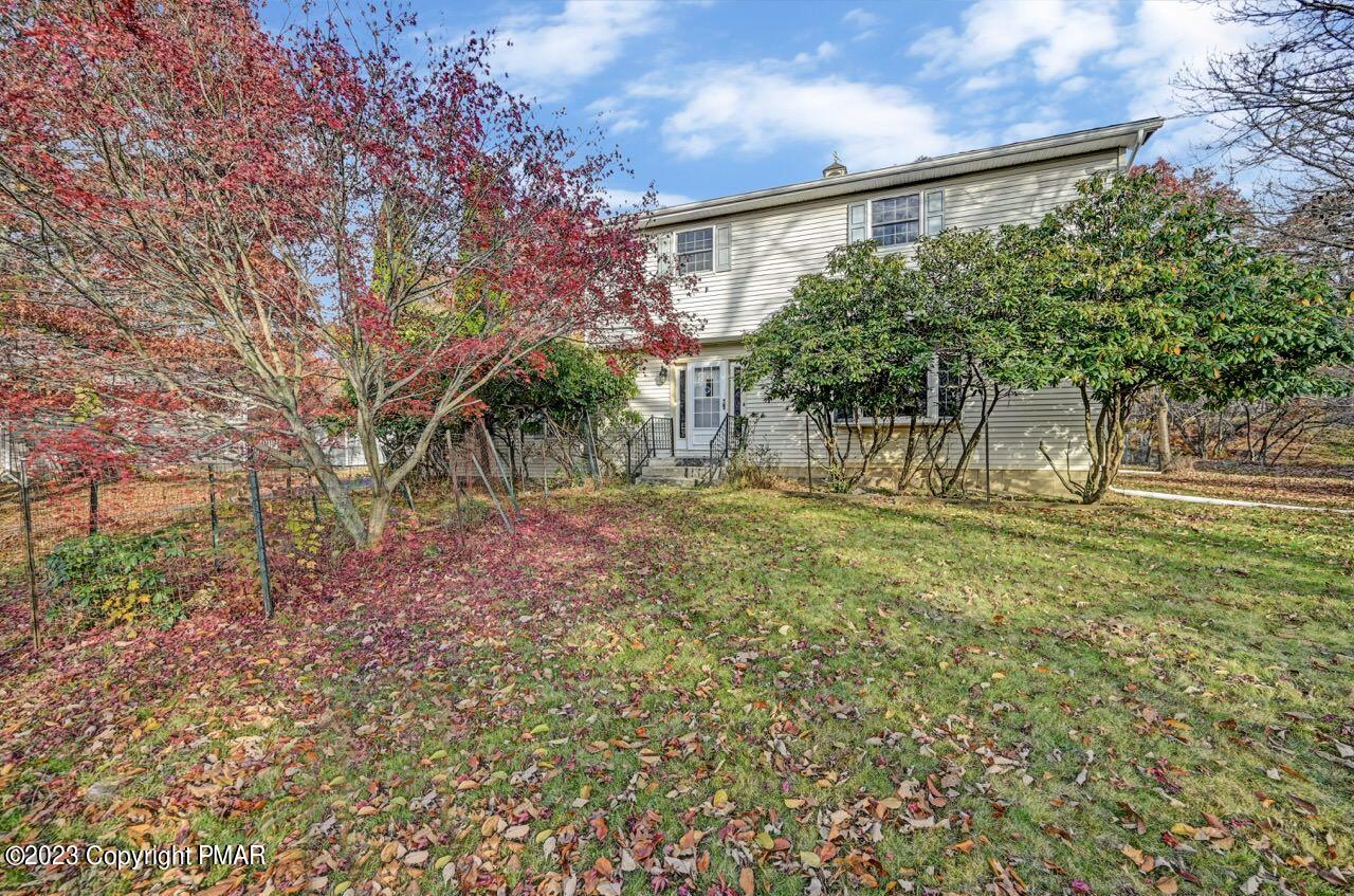 a view of yard with tree