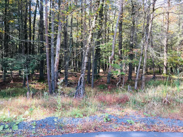 $42,000 | 201 Sir Jeoffrey Court, Pocono Lake, PA 18347