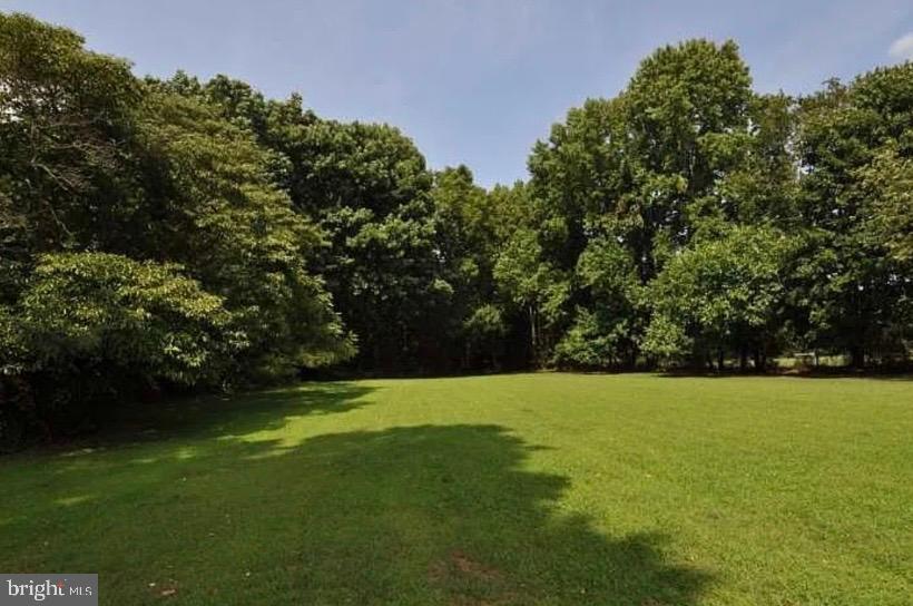2091 Old York Road Burlington, NJ 08016 - Photo 20 of 20 Lush green expanse meets serene woods.