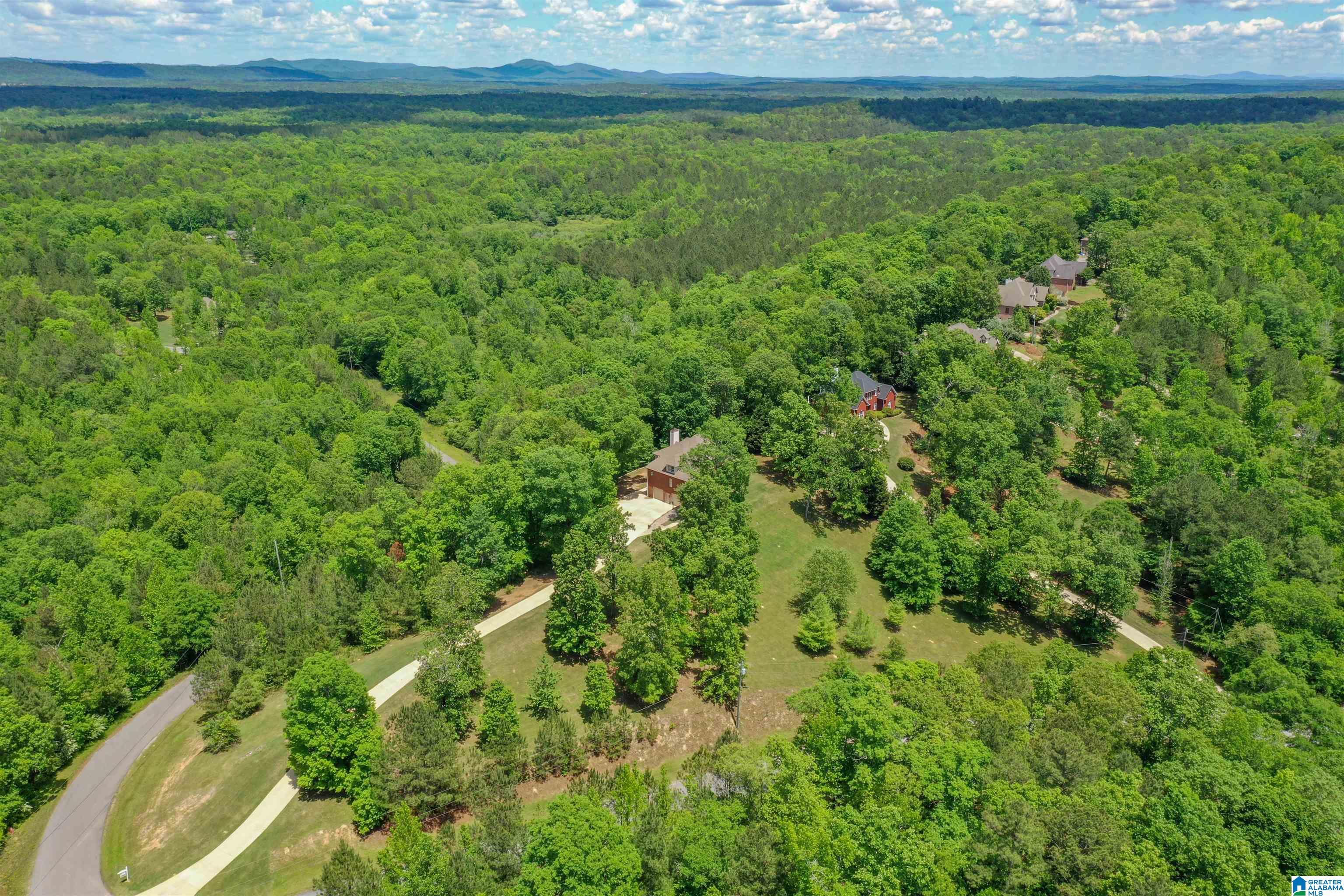 671 Hidden Ridge Chelsea, AL 35043 - Photo 74 of 76