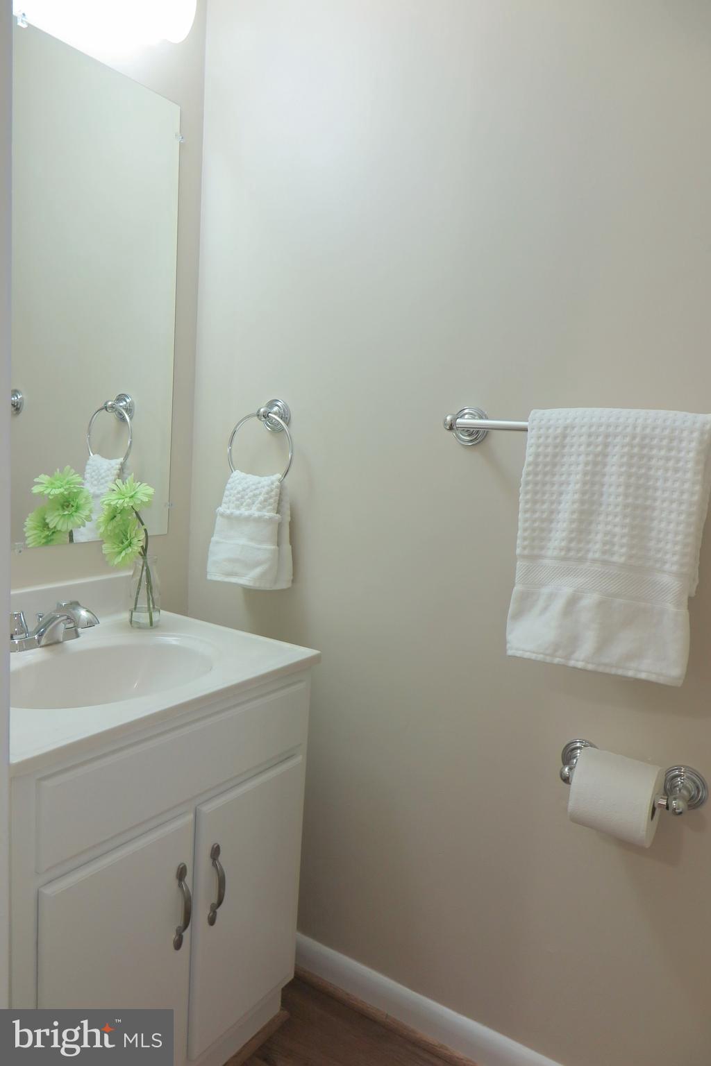 10013 Raynor Road Silver Spring, MD 20901 - Photo 22 of 61 Primary Bath view 2