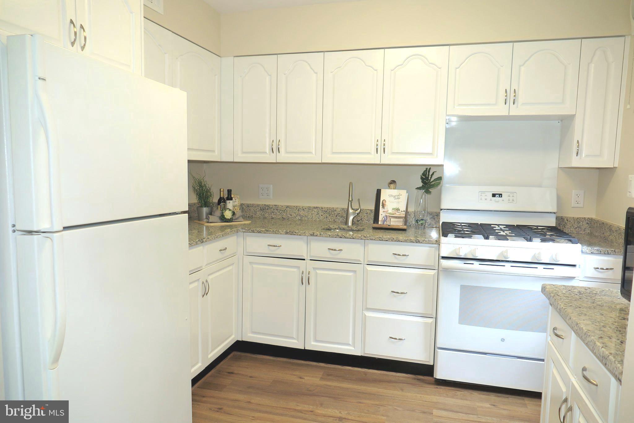 10013 Raynor Road Silver Spring, MD 20901 - Photo 8 of 61 Granite counters and gas cooking